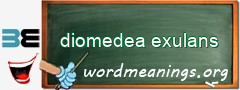 WordMeaning blackboard for diomedea exulans